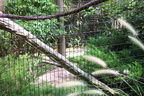Cape May Zoo